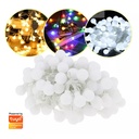 Tira de bolitas led Tuya Smart 10M FKMSL6